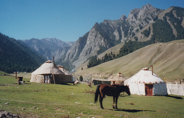 Kazakh grazing land