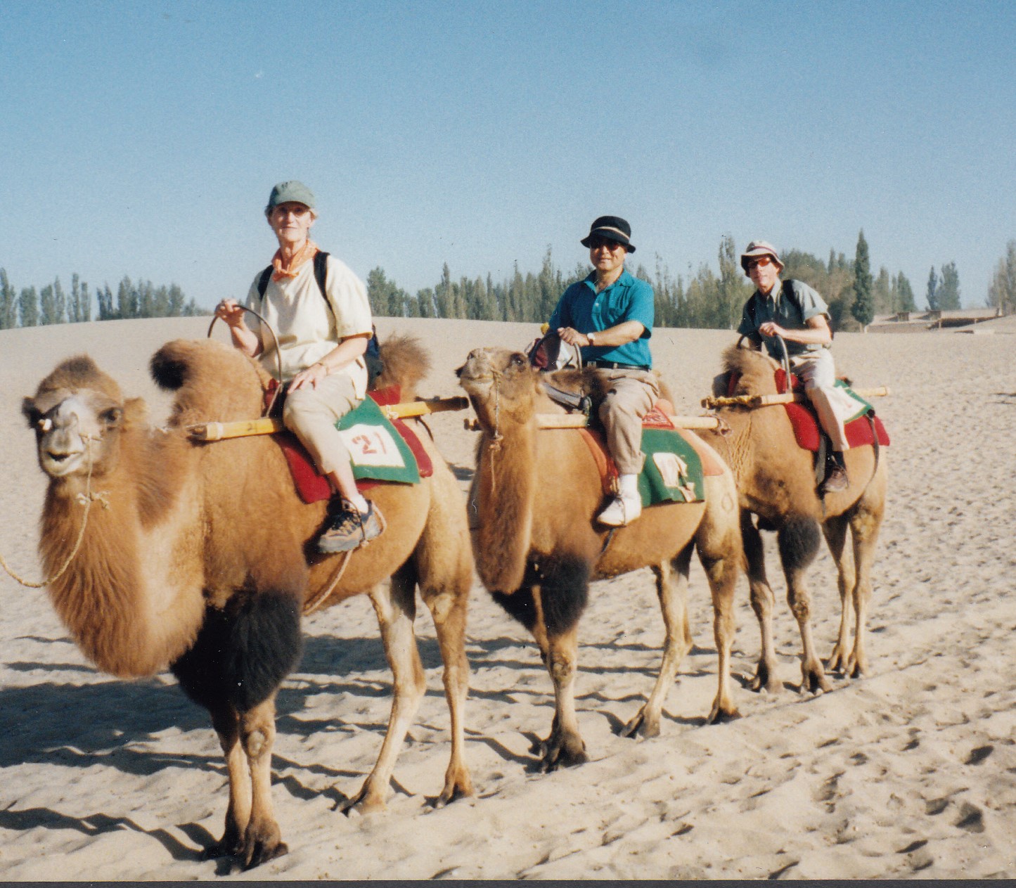 camel ride