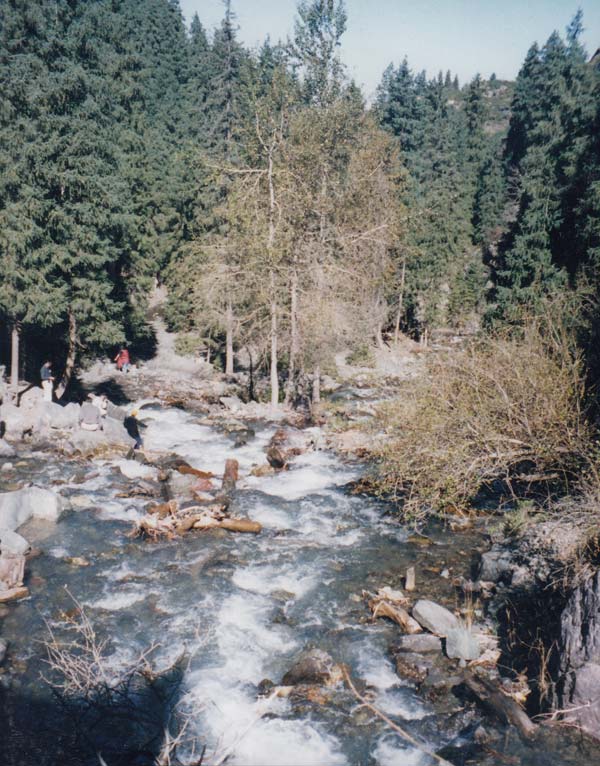 mountain stream