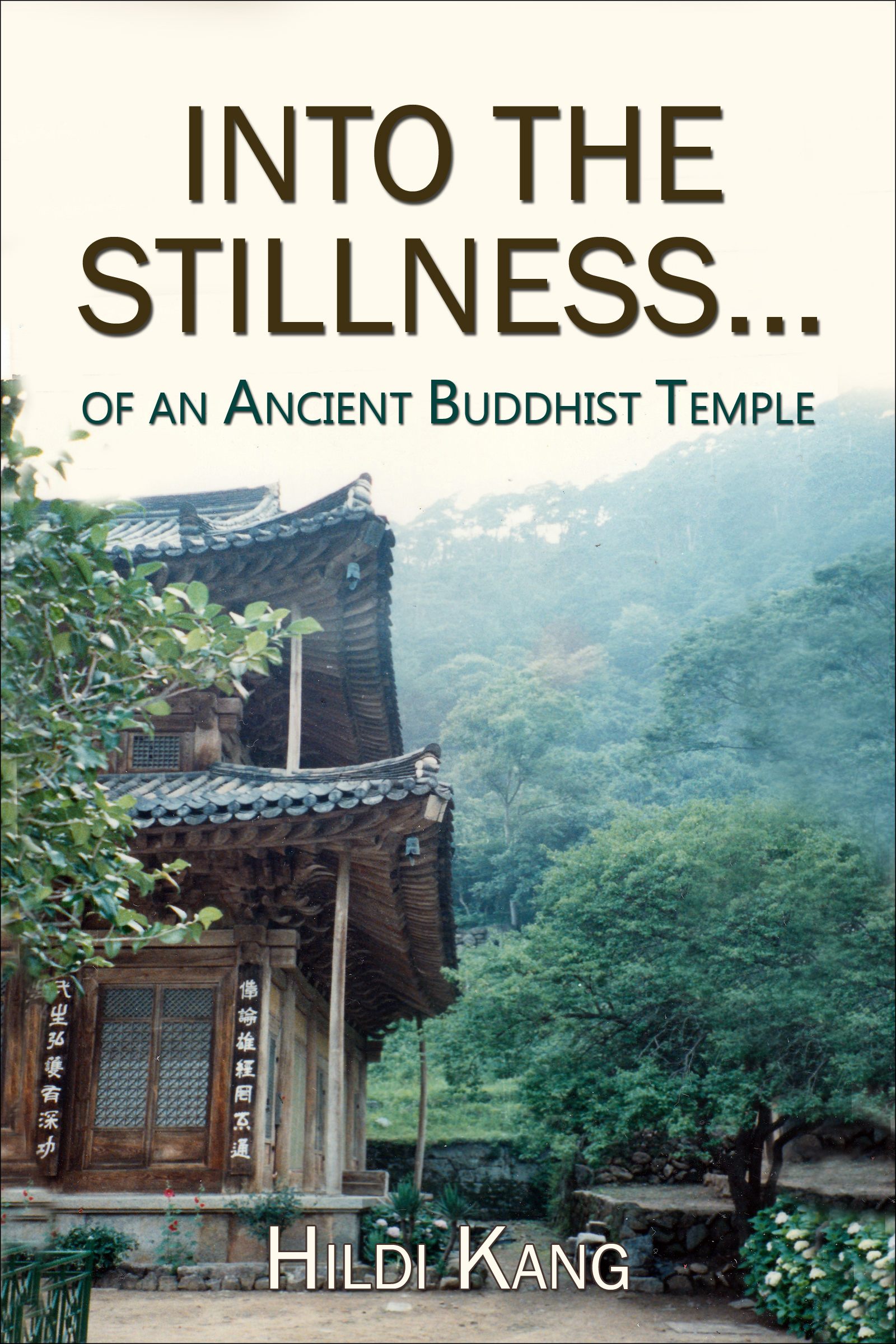 Into the Stillness book cover